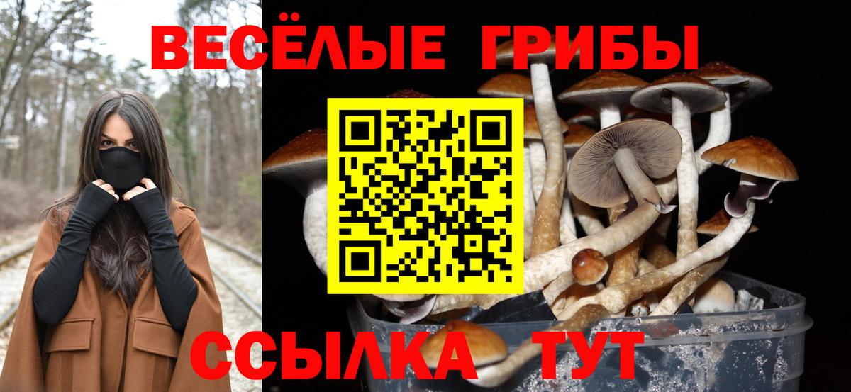 Псилоцибиновые грибы MAGIC MUSHROOMS Серпухов
