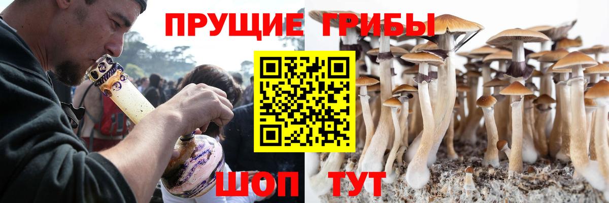 Серпухов  Галлюциногенные грибы мицелий  Вход с VPN 